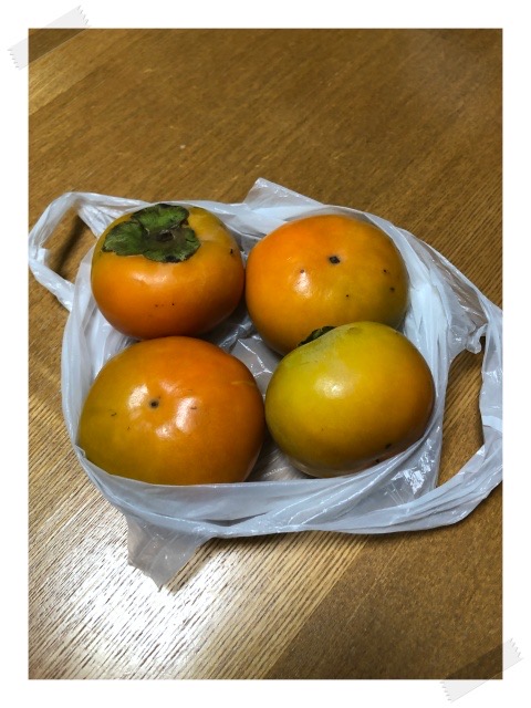 IMG_6891S.jpeg IMG 6891S
