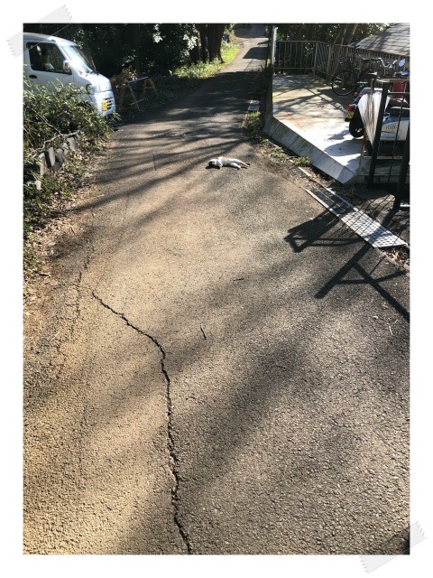 IMG_8759S.jpeg IMG 8759S
