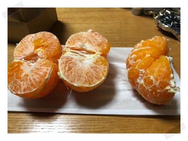 IMG_8774S.jpeg IMG 8774S