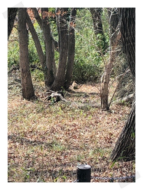 IMG_8901S.jpeg IMG 8901S