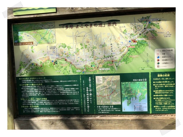 IMG_8914S.jpeg IMG 8914S